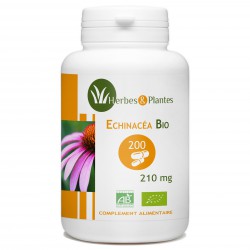Echinacéa Bio - 210 mg - 200 gélules végétales - Herbes & Plantes