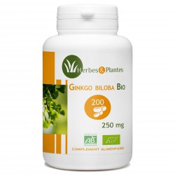 Ginkgo Biloba Bio - 250 mg - 200 gélules végétales - Herbes & Plantes