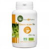 Ginkgo Biloba Bio - 250 mg - 200 gélules végétales - Herbes & Plantes