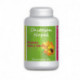 Chitosan-Nopal - 200 gelules dosées 300 mg