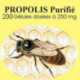 Propolis - 200 gelules
