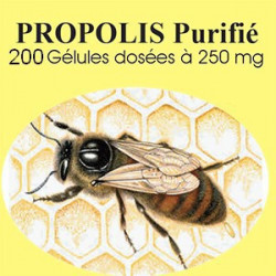 Propolis - 200 gelules