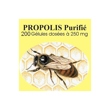 Propolis - 200 gelules