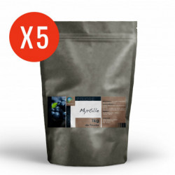 Myrtille feuille poudre 5 kg