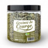 Graines de Courge - GPH