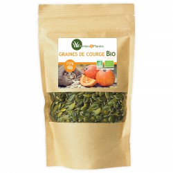 Graines de Courge Bio - 250g - Herbes & Plantes
