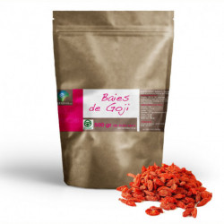 Goji (Ningxia) GreenFood - Sachet de 500 gr