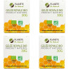 Gelée Royale Bio - 30 g x4 - GPH