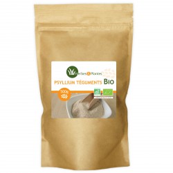 Psyllium Blond Bio 99 % pur (téguments) - 500g - Herbes & Plantes