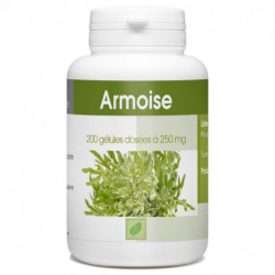 Armoise - 200 gélules à 250 mg