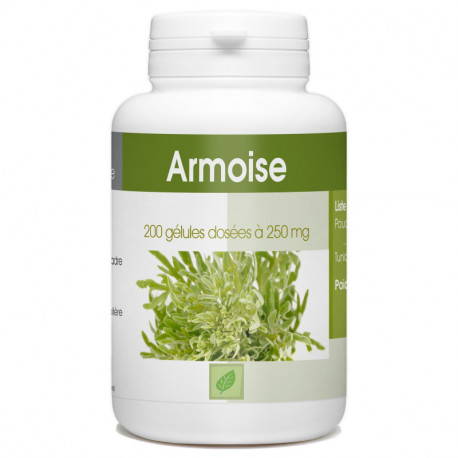 Armoise - 200 gélules à 250 mg