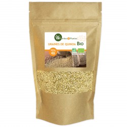 Graines de Quinoa Bio - 500g - Herbes & Plantes