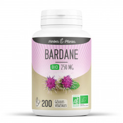 Bardane Bio - 250mg - 200 gélules végétales - Herbes & Plantes