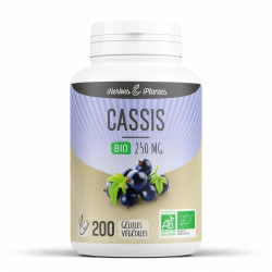 Cassis Bio - 250 mg - 200 gélules végétales - Herbes & Plantes