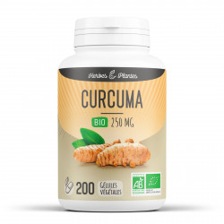 Curcuma Bio - 250 mg - 200 gélules végétales - Herbes & Plantes