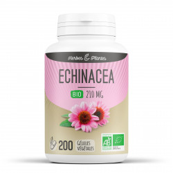 Echinacéa Bio - 210 mg - 200 gélules végétales - Herbes & Plantes
