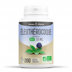 Eleuthérocoque Bio - 210 mg - 200 gélules végétales - Herbes & Plantes