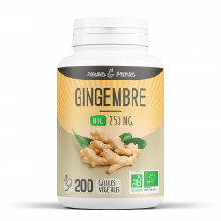 Gingembre Bio - 250 mg - 200 gélules végétales - Herbes & Plantes