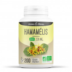 Hamamélis Bio - 220 mg - 200 gélules végétales - Herbes & Plantes