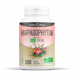 Harpagophytum Bio - 330mg - 200 gélules végétales - Herbes & Plantes