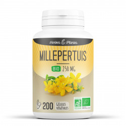 Millepertuis Bio - 250 mg - 200 gélules végétales - Herbes & Plantes
