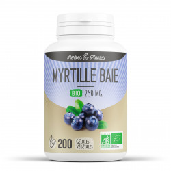 Myrtille Bio (Baies) - 250 mg - 200 gélules végégtales - Herbes & Plantes