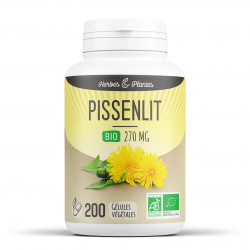 Pissenlit Bio - 270 mg - 200 gélules végétales - Herbes & Plantes