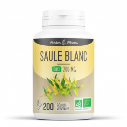 Saule Blanc Bio - 200 mg - 200 gélules végétales - Herbes & Plantes