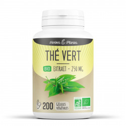 Thé Vert Bio - 250 mg - 200 gélules végétales - Herbes & Plantes