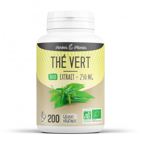 Thé Vert Bio - 250 mg - 200 gélules végétales - Herbes & Plantes