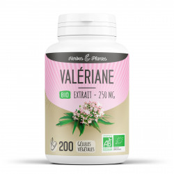 Valériane Bio - 250 mg - 200 gélules végétales - Herbes & Plantes