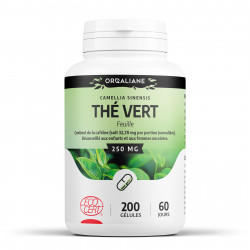 Thé Vert bio - 200 gélules à 250 mg
