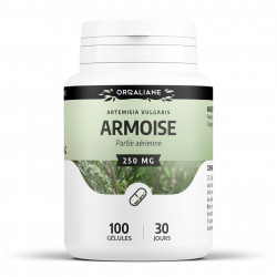 Armoise - 100 gélules à 250 mg