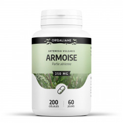 Armoise - 200 gélules à 250 mg