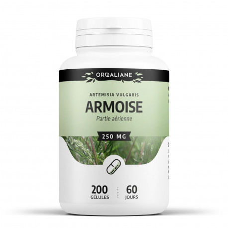 Armoise - 200 gélules à 250 mg