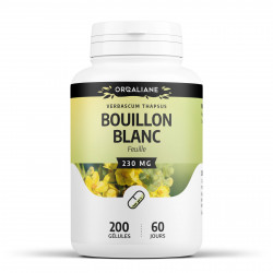 Bouillon Blanc - 200 gélules à 230 mg