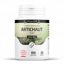 Artichaut feuille Bio - 100 gélules à 200 mg