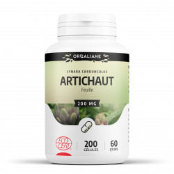 Artichaut - 200 gélules à 200 mg
