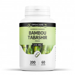 Bambou Tabachir - 200 gélules à 250 mg
