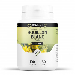 Bouillon Blanc - 100 gélules à 230 mg