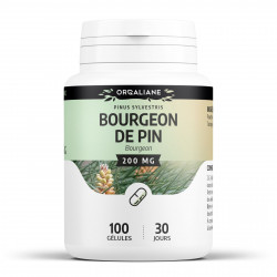 Bourgeon de Pin - 100 gélules à 200 mg