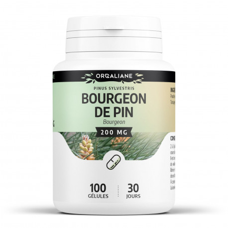 Bourgeon de Pin - 100 gélules à 200 mg