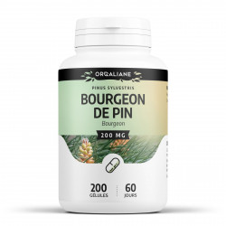 Bourgeon de Pin - 200 gélules à 200 mg