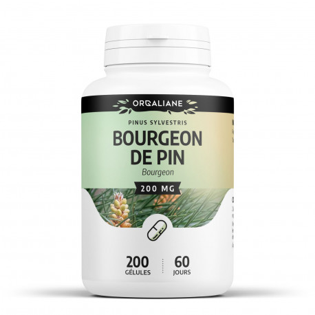 Bourgeon de Pin - 200 gélules à 200 mg