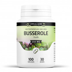 Busserole - 100 gélules à 250 mg