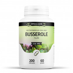 Busserole - 200 gélules à 250 mg
