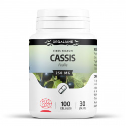 Cassis Bio - 100 gélules à 250 mg