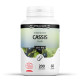 Cassis feuille Bio- 200 gélules à 250 mg