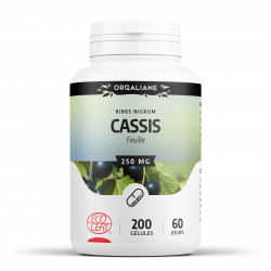 Cassis feuille Bio- 200 gélules à 250 mg