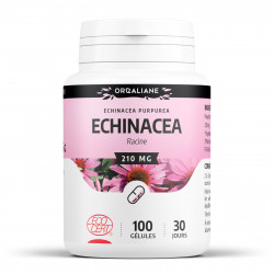Echinacéa Bio - 100 gélules à 210 mg